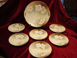 Antique R S Germany 7pc Floral Cake Set Hp Prussia
