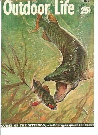 Vintage June 1952 Outdoor Life Musky Cover,  Johnson Sea - Horse 25 Fishing Motors