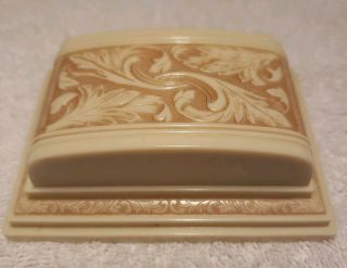 Antique Vintage Celluloid Jewelry Display Box Cream Color 3