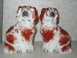 Antique 19th Century Staffordshire Dogs