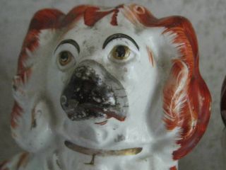 Antique 19th Century Staffordshire Dogs 2