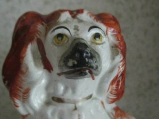 Antique 19th Century Staffordshire Dogs 3