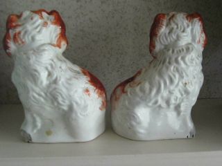 Antique 19th Century Staffordshire Dogs 8