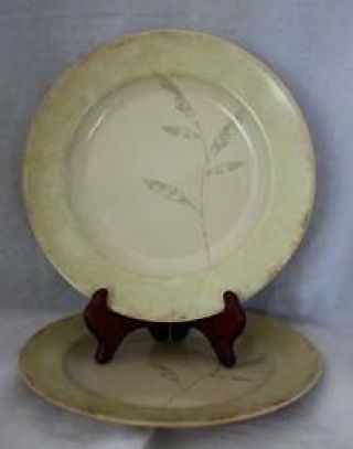 2 Pier 1 One Antiqued Leaves Pattern Salad Plates 8 1/4