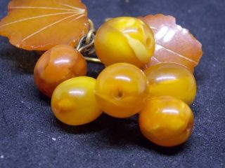 Antique natural Baltic amber stone brooch egg yolk toffee amber 9g 老琥珀 波羅的海琥珀 2