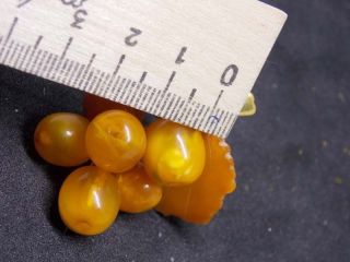 Antique natural Baltic amber stone brooch egg yolk toffee amber 9g 老琥珀 波羅的海琥珀 5