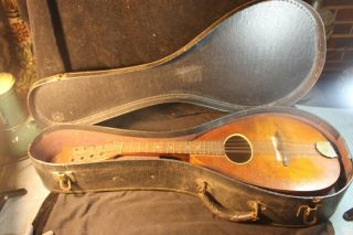 Vintage Antique Stella Mandolin Instrument In Case 24 1/2 " Long 8 3/4 " Wide