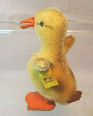 Vintage Steiff Duck Young Duckling 4.  5 " 1971 W/hang Tag And Button Tag