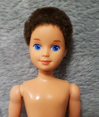 Vintage Barbie Family Boy Doll 1990 Todd Flocked Hair Stacie 