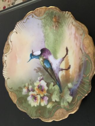 Antique Coronet Limoges 11 " Hand Painted Plate,  Rocco Edges,  Game Birds,  Signed