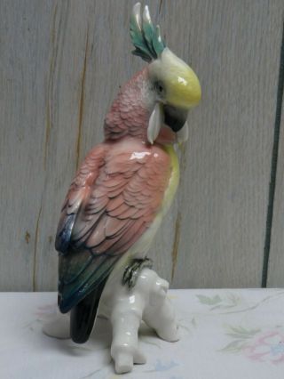 Karl Ens Germany 1900s 8 " Cockatoo Parrot Porcelain Bird Figurine Ens Ceramic