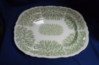 Antique Staffordshire Pottery Green Transfer Platter 19 " By 15 " Signed Sea Leaf