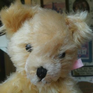 Antique Vintage 1950s Mohair Carnival Teddy Bear 11in Euc (and Really Cute)