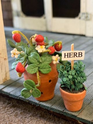 Artisan Miniature Dollhouse Vintage Strawberry & Herb Garden Plants Clay Pots