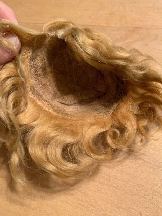 Old Blonde Wig For Antique Doll - unknown Fibers,  But possibly Mohair Or Mixture 4