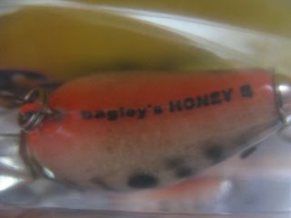 6 Pack Bagley Honey B ¼ oz.  P - DHB1 - CN Lures. 5