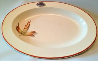 Antique Wedgwood Creamware Oval Botanical Plate / Dish 26cm C1770 18th Century