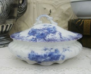 Antique W.  H.  Grindley Margot Blue & White Ironstone Covered Soap Dish W/ Insert