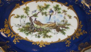Antique 19th Century French SEVRES Style Bleu Nouveau Ground Tray 2