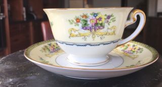Vintage Tea Cup & Saucer Hand Painted Meito China