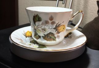 Vintage Tea Cup & Saucer Delphine Bone China