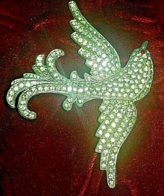 Antique Brooch Pin Bird Of Paradise Rhinestones Diamond Paste Vintage Large 3,  "