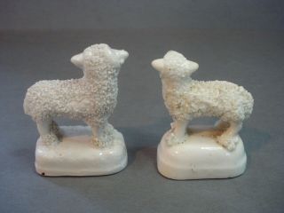 2 Small Antique Mid 19th C Staffordshire Sheep 2