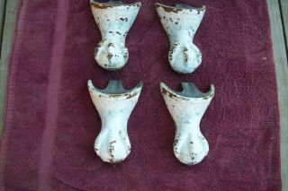 Antique Claw Foot Bathtub Tub Feet Cast Iron Legs Set Of 4