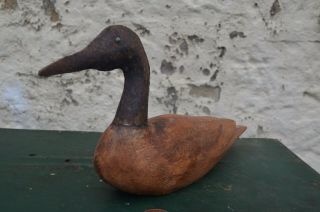 Antique Hand Carved Decoy Duck Figure With Riveted Metal Head Folk Art