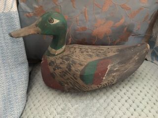 Antique Victorian Teal Head Duck Decoy Hand Carved & Painted Folk Art