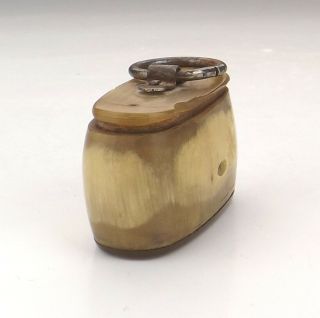 Antique Georgian Carved Horn Snuff Box With Hoop Handle - Early 2