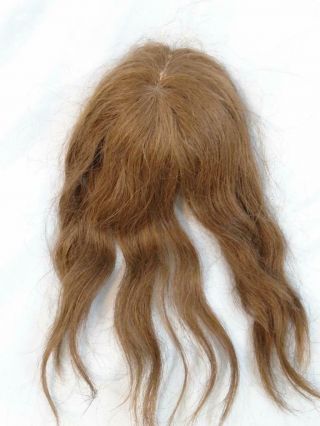 Antique Bisque Doll Wig Human Hair Medium Size Brunette
