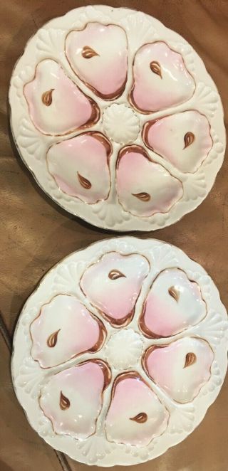 Pair Antique Porcelain Hand Painted Oyster Plates Pink & White