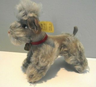 Vintage Steiff Little Poodle 3 1/2 " Tag And Button