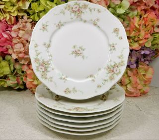 7 Antique Haviland Limoges Porcelain Dinner Plates H553 Schleiger 300 Pink Roses