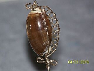 Antique Large Shell Hat Pin Hatpin Wrapped In Gold Twisted Wire