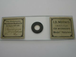 Antique Microscope Slide.  Diatoms Pleurosigma Angulatum By I.  D.  Moller.