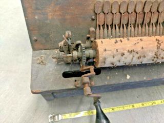 Antique Gem? Roller Organ & 1 Cob Restoration Project 2