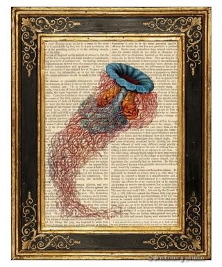 Jellyfish Art Print On Vintage Book Page Discomedusae 3 Ocean Home Decor Gifts