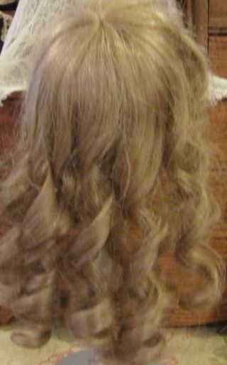 G177 Vintage 12 - 13 " Doll Wig For Antique French Or German Bisque Doll