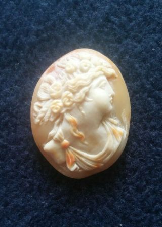 Intricate Antique Vintage Lady Cameo Hand Carved.  Unmounted Shell Cameo