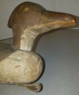 Antique Hand Carved Wooden Duck Decoy Of A Wood Duck or Merganser Great Piece 4