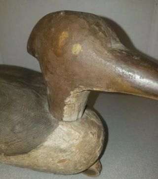 Antique Hand Carved Wooden Duck Decoy Of A Wood Duck or Merganser Great Piece 6