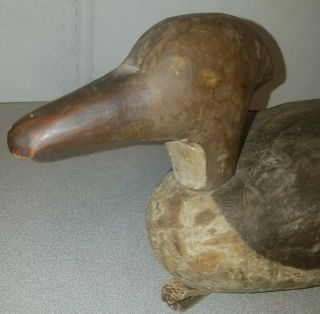 Antique Hand Carved Wooden Duck Decoy Of A Wood Duck or Merganser Great Piece 7