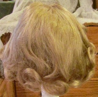G239 Vintage 12 - 13 " Human Hair Doll Wig For Antique Bisque Doll