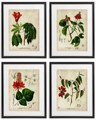 Vintage Botanical Floral No.  09 Art Home Wall Art Print Set Of 4 Prints Unframed