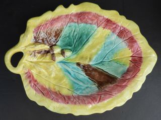 Antique Majolica Yellow Oak Leaf & Acorns Plate
