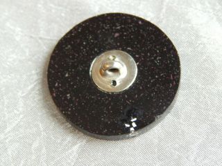 Antique Vintage Button Mother of Pearl Habitat Junque Xtra Lrge 523 - A 4