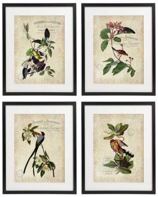 Vintage Bird & Botanical No.  9 Home Decor Wall Art Print Set Of 4 Prints Unframed