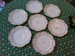 7 Antique Theodore Haviland Limoges Porcelain Plates Heavy Gold And Pinks Roses